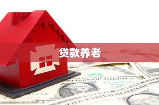 宁夏贷款养老
