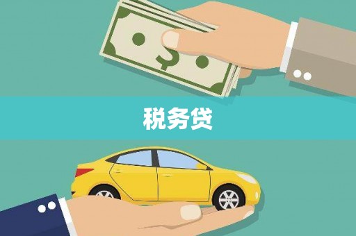 宁夏税务贷