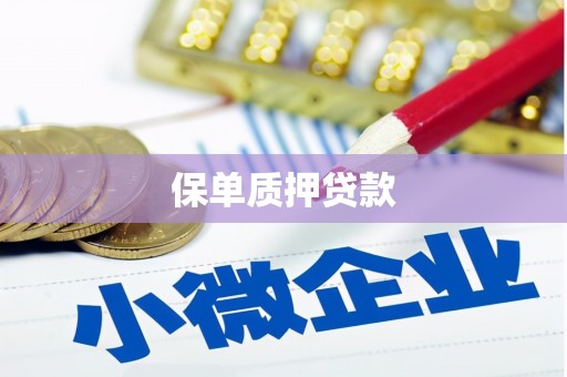 宁夏保单质押贷款