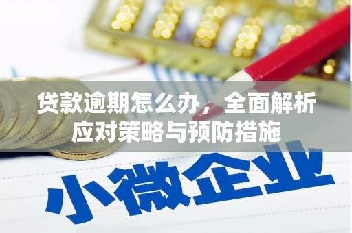 宁夏贷款逾期怎么办，全面解析应对策略与预防措施