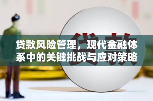 宁夏贷款风险管理，现代金融体系中的关键挑战与应对策略