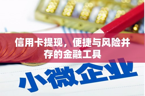 宁夏信用卡提现，便捷与风险并存的金融工具