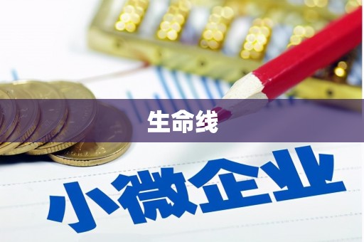 宁夏生命线