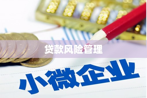 宁夏贷款风险管理