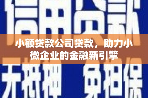 宁夏小额贷款公司贷款，助力小微企业的金融新引擎