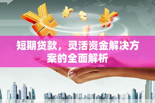 宁夏短期贷款，灵活资金解决方案的全面解析