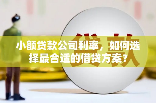 宁夏小额贷款公司利率，如何选择最合适的借贷方案？