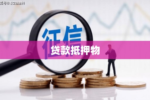 宁夏贷款抵押物