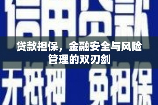 宁夏贷款担保，金融安全与风险管理的双刃剑