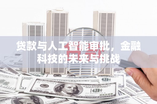 宁夏贷款与人工智能审批，金融科技的未来与挑战