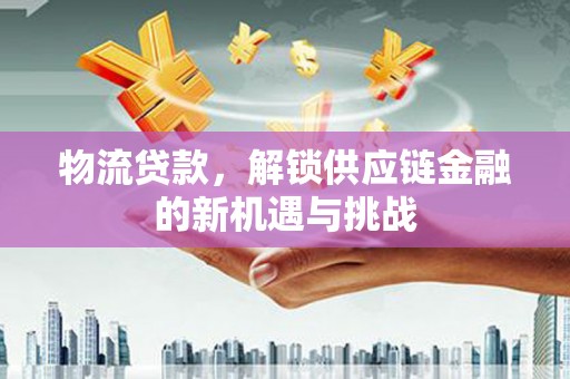 宁夏物流贷款，解锁供应链金融的新机遇与挑战
