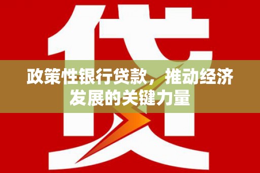 宁夏政策性银行贷款，推动经济发展的关键力量