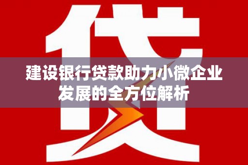 宁夏建设银行贷款助力小微企业发展的全方位解析