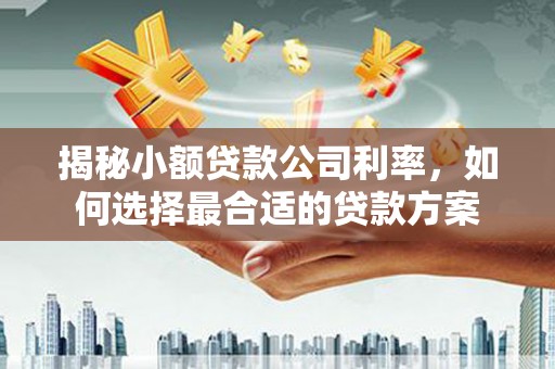 宁夏揭秘小额贷款公司利率，如何选择最合适的贷款方案