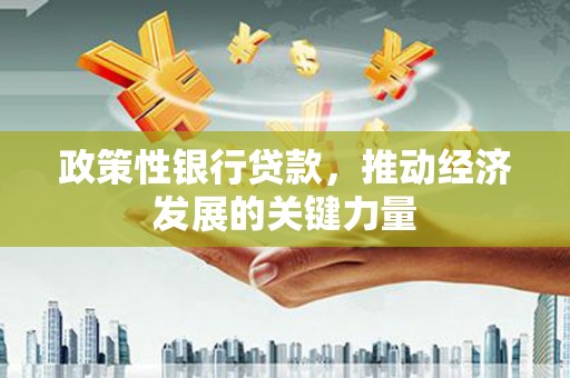 宁夏政策性银行贷款，推动经济发展的关键力量