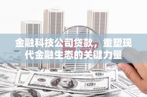 宁夏金融科技公司贷款，重塑现代金融生态的关键力量