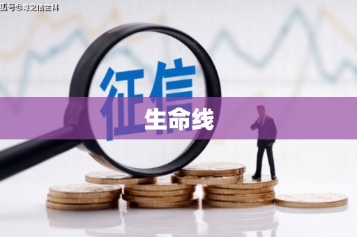宁夏生命线
