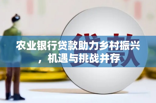 宁夏农业银行贷款助力乡村振兴，机遇与挑战并存