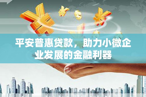 宁夏平安普惠贷款，助力小微企业发展的金融利器