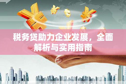 宁夏税务贷助力企业发展，全面解析与实用指南