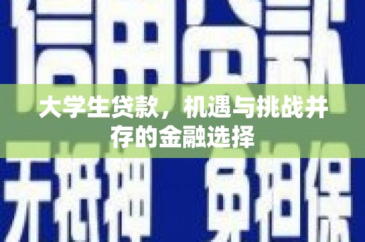 宁夏大学生贷款，机遇与挑战并存的金融选择