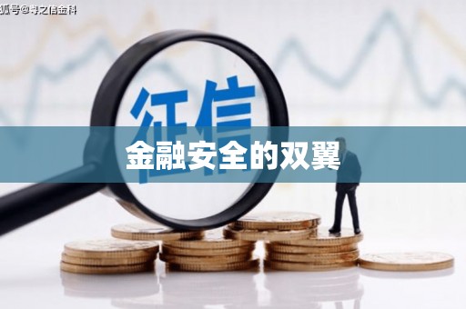 宁夏金融安全的双翼