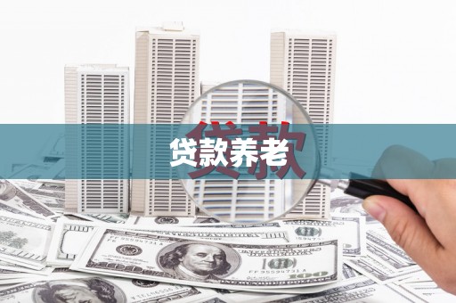 宁夏贷款养老