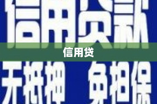 宁夏信用贷