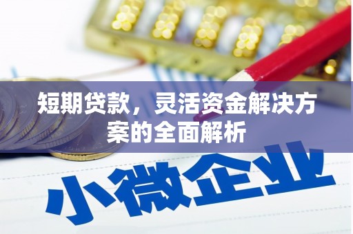 宁夏短期贷款，灵活资金解决方案的全面解析