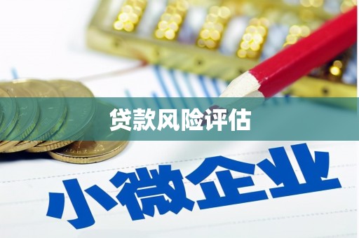 宁夏贷款风险评估