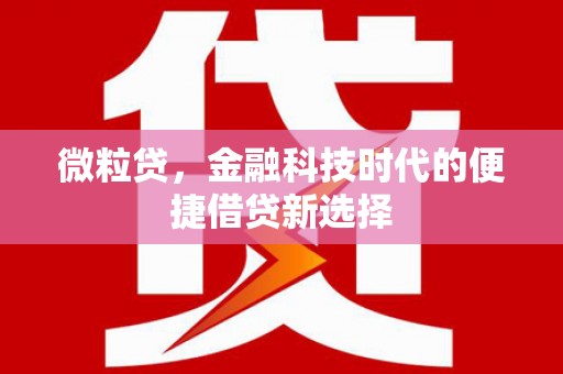 宁夏微粒贷，金融科技时代的便捷借贷新选择
