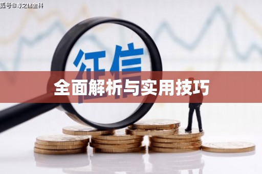 宁夏全面解析与实用技巧
