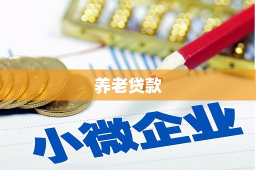 宁夏养老贷款