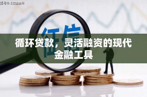 宁夏循环贷款，灵活融资的现代金融工具