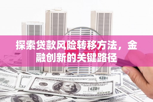 宁夏探索贷款风险转移方法，金融创新的关键路径