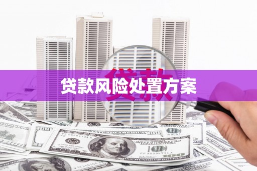 宁夏贷款风险处置方案