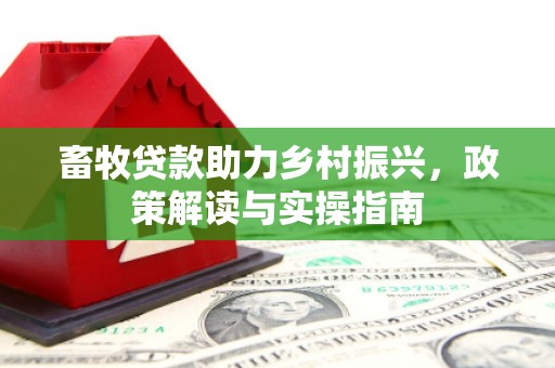 宁夏畜牧贷款助力乡村振兴，政策解读与实操指南