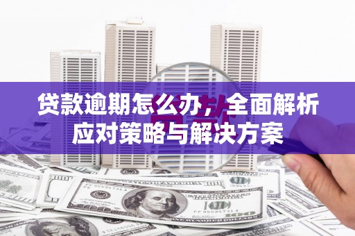 宁夏贷款逾期怎么办，全面解析应对策略与解决方案