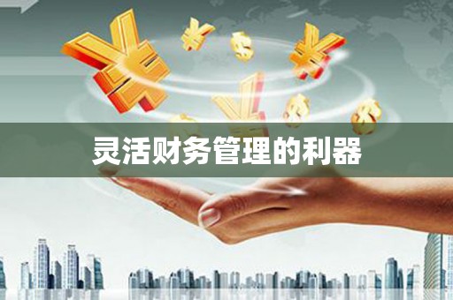 宁夏灵活财务管理的利器