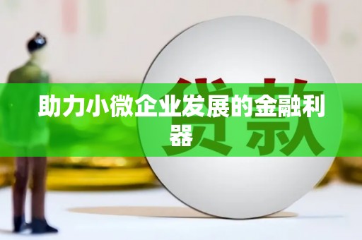 宁夏助力小微企业发展的金融利器