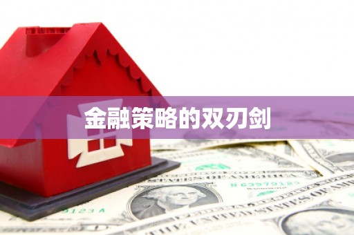 宁夏金融策略的双刃剑