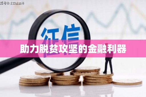 宁夏助力脱贫攻坚的金融利器