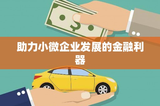 宁夏助力小微企业发展的金融利器
