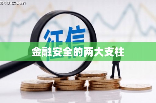 宁夏金融安全的两大支柱
