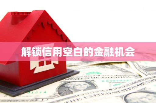 宁夏解锁信用空白的金融机会