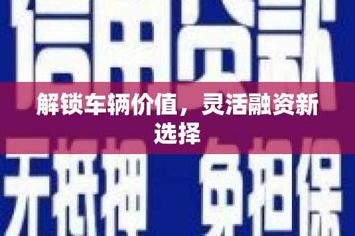 宁夏解锁车辆价值，灵活融资新选择