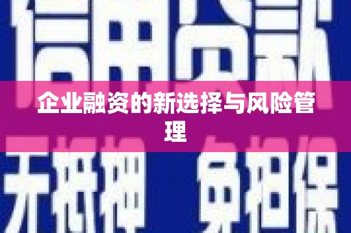 宁夏企业融资的新选择与风险管理