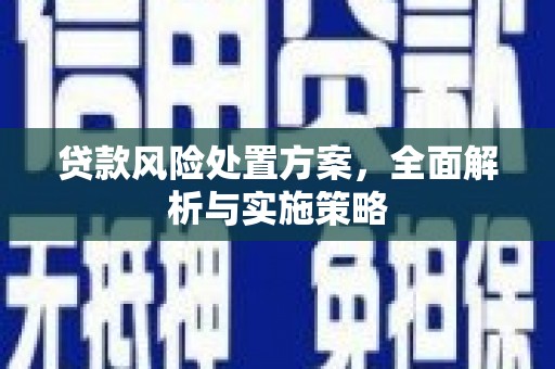 宁夏贷款风险处置方案，全面解析与实施策略