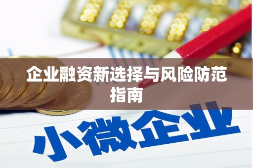 宁夏企业融资新选择与风险防范指南