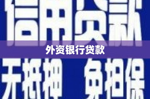 宁夏外资银行贷款